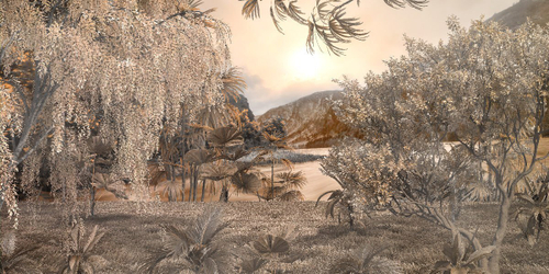 Дизайнерские №781 Фотообои и Фрески