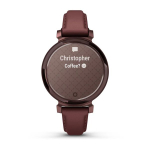 Смарт часы Garmin Lily 2 Classic темно-бронзовые с шелковичным кожаным ремешком