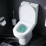 Унитаз-компакт AM.PM Spirit 2.0 C708600WH белый, с бачком, безободковый