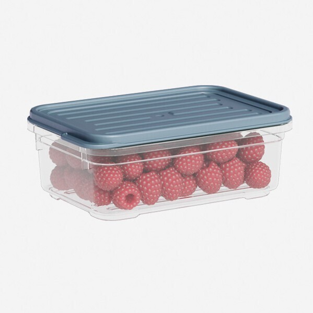 Лоток прозрачный с крышкой низкий, цвет серый 500 мл