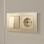 Выключатель двухклавишный (шампань) W1120011