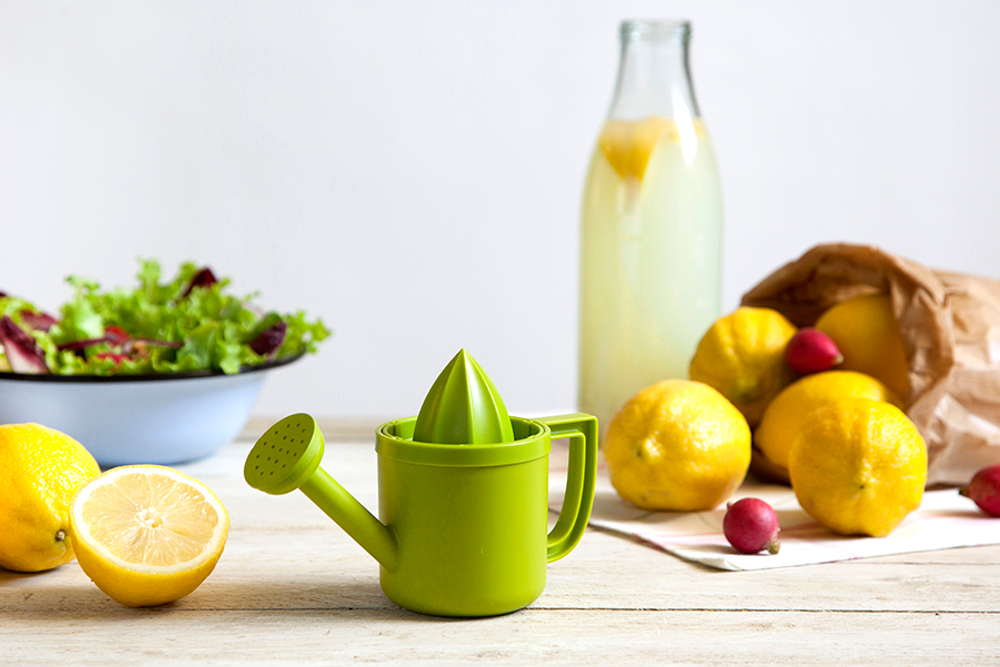 Соковыжималка для лимонов lemoniere