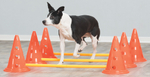 Набор препятствий для аджилити Trixie Dog Activity, размер 23х30/78см.