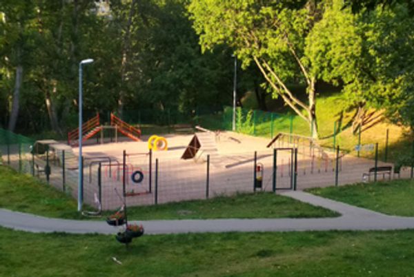 «Амират»: Зооформат 2026. Как выбрать площадку для выгула собак нового поколения