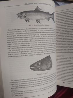 Набор "Рыбалка" подарочный в футляре: книга "Жизнь и ловля пресноводных рыб" с бокалами для коньяка
