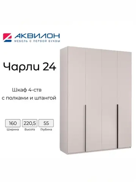 Шкаф для одежды Чарли №24 160см