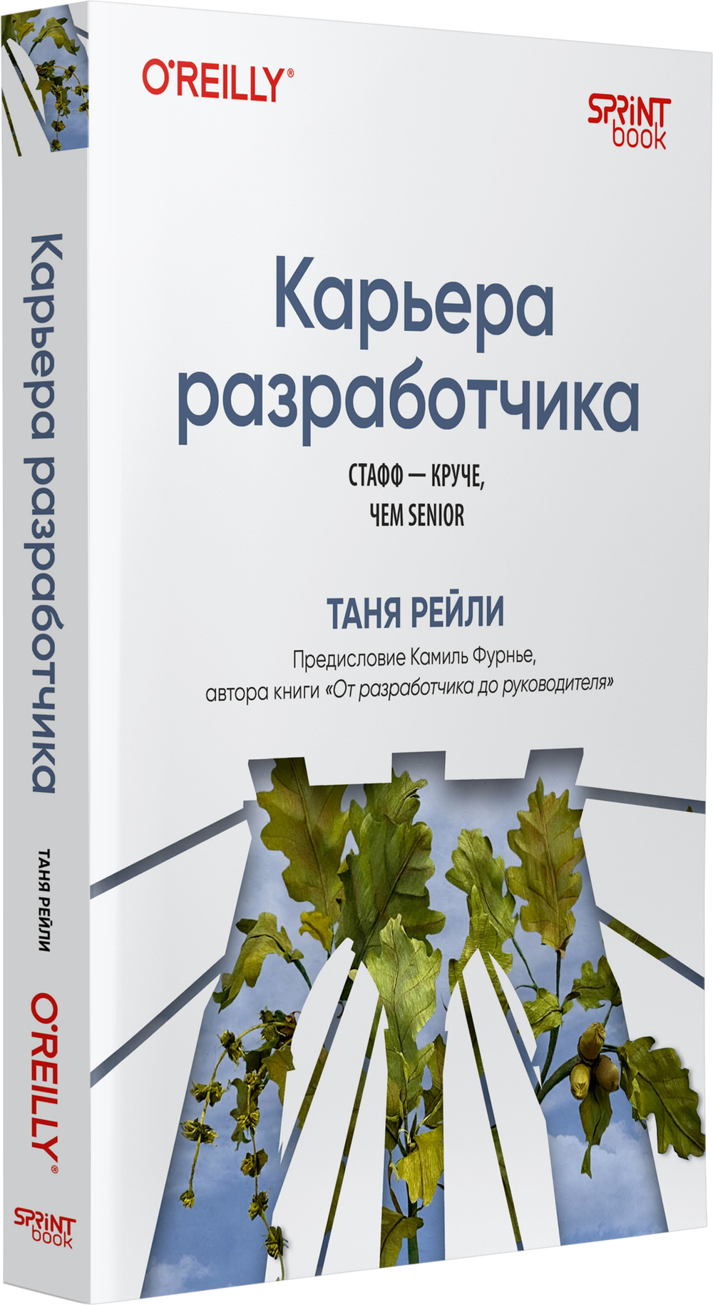 Карьера разработчика. Стафф - круче, чем senior