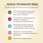 Мед натуральный гречишный 3л сбор 2024 , 4.4 кг