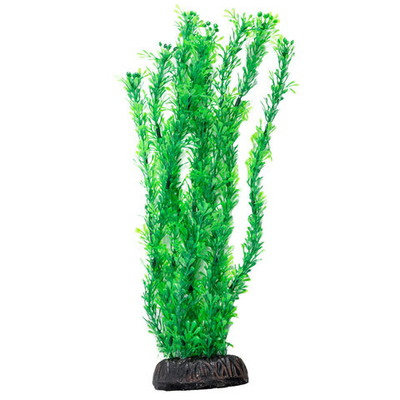 Растение "Лигодиум", зеленое, 300мм, Laguna AQUA