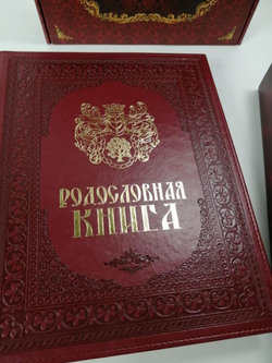 Семейный альбом родословная "Художественная", обложка из искусственной кожи