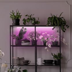 Светильник для растений, фитолампа светодиодная линейная ЭРА LLED-05-T5-FITO-9W-W розового свечения 9 Вт | Линейные фито светильники