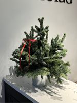 Елка декоративная h-75см