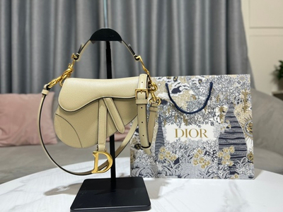 Christian Dior Saddle 21 cm