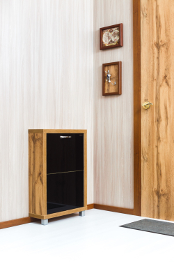 Обувница в прихожую компактная для обуви Люкс 2 черное стекло дуб вотан