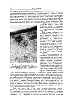 Многотомное руководство по оториноларингологии. Том 4. Заболевания верхних дыхательных путей | А.Г. Лихачев