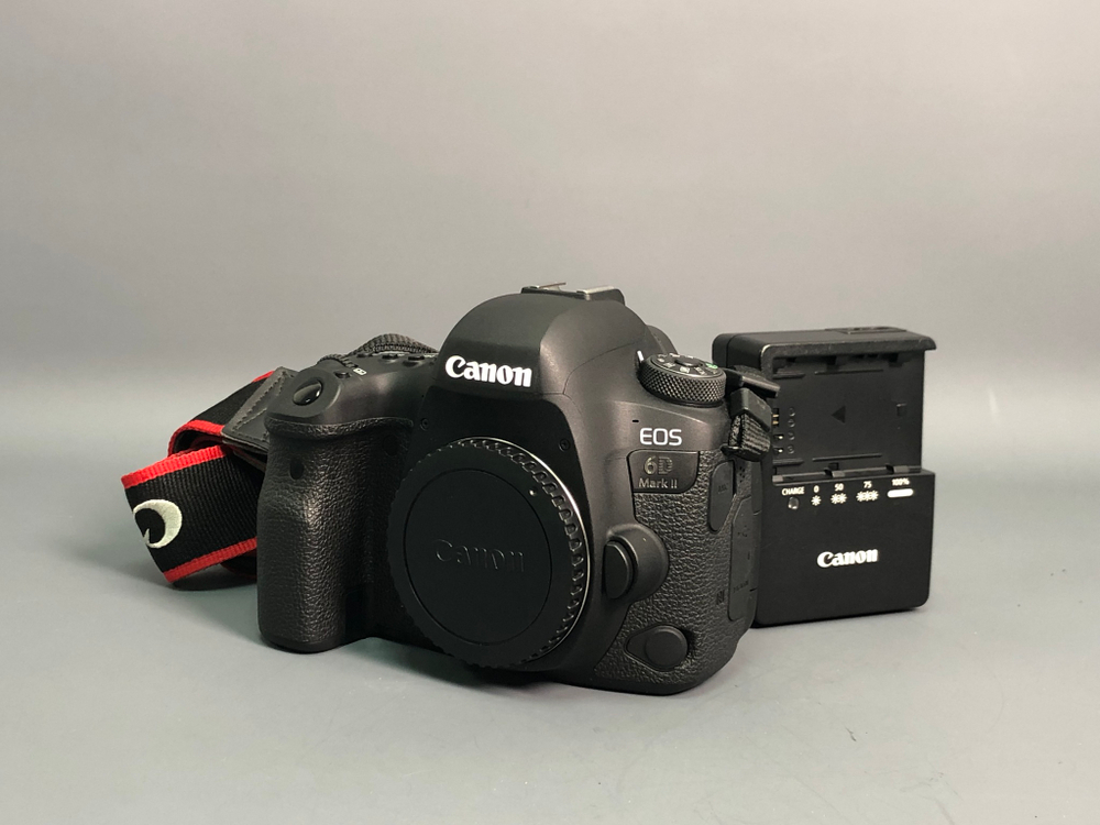 Canon 6D Mark II 4.500 кадров