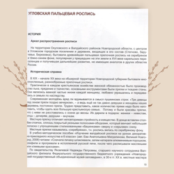 Прялочные росписи Новгородской губернии конца XIX - начала XX века. Константинова Е. А.