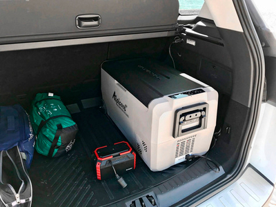 Автохолодильник компрессорный Alpicool T36 36 л, двухкамерный -20/+10°C, 12/24/220В