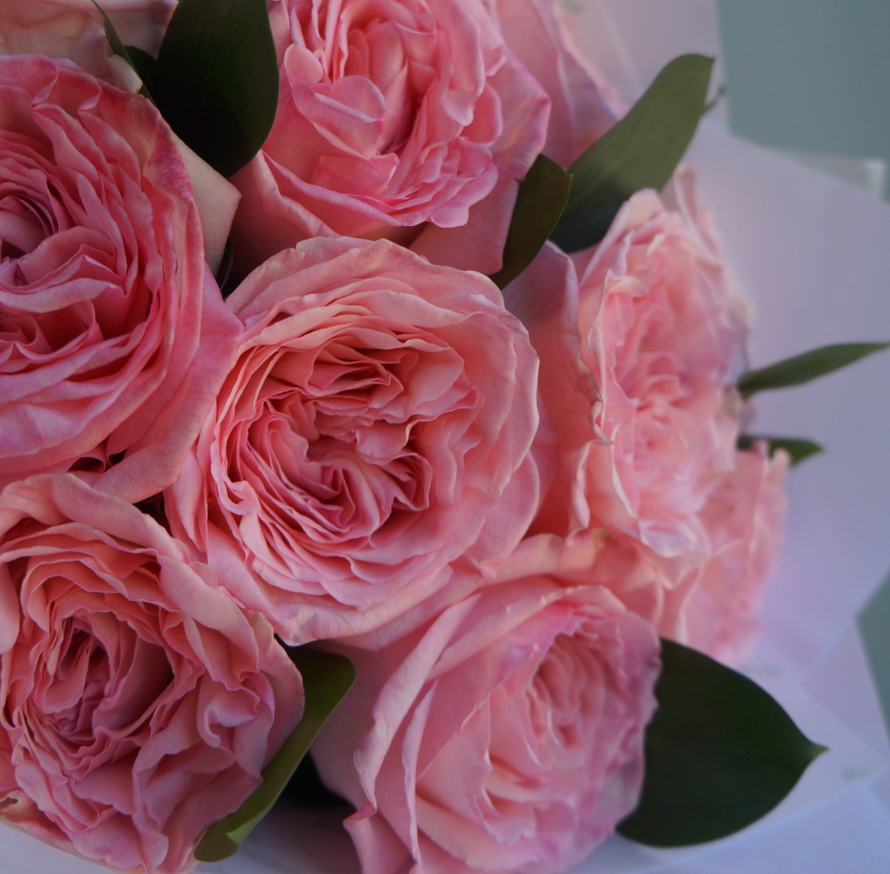 108. Очаровательная Pink O'Hara