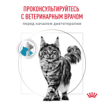 Royal Canin Skin & Coat Корм сухой диетический для кошек для поддержания защитных функций кожи 1,5 кг