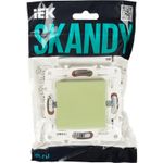 SKANDY Выключатель 1-клавишный перекрестный 10А SK-V03G мятный IEK