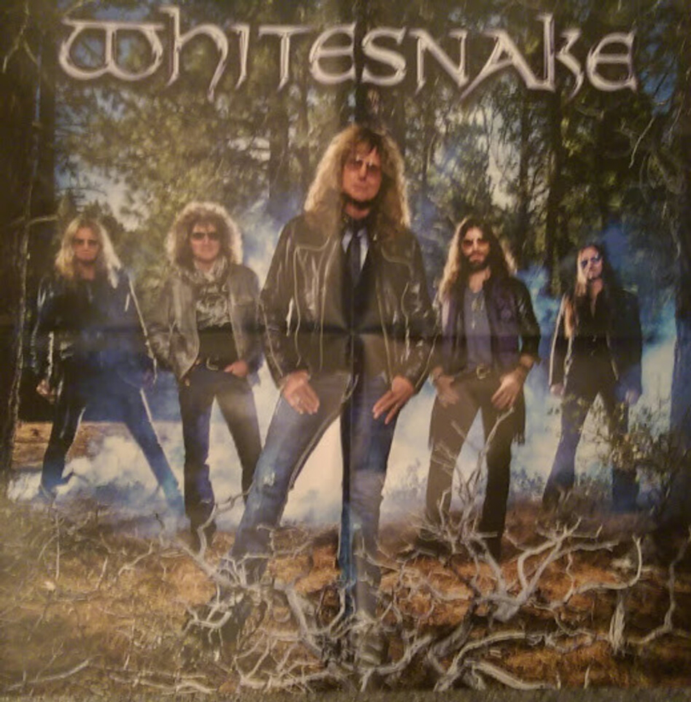 Whitesnake / The Purple Album (Deluxe Edition)(2LP+CD+DVD)