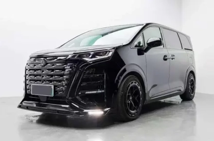 Обвес для Denza D9 2022-2023+ Денза аэродинамический обвес