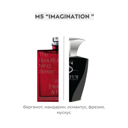M5 IMAGINATION по мотивам Intelligence & fantasy The beautiful mind series , парфюмерная вода