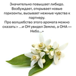 Нероли, кубики восковые для ароматизации, 10 штук