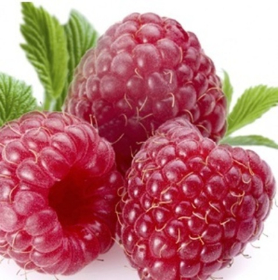 МАЛИНЫ КЕТОН (RASPBERRY KETONE)