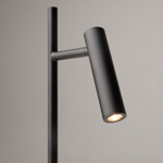 Настольный светильник Maytoni Z010TL-L8B3K