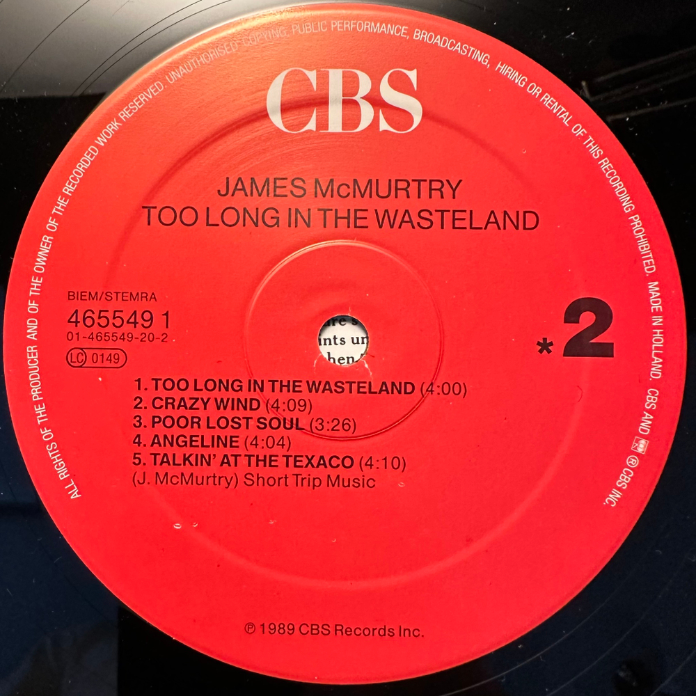 James McMurtry- Too Long In The Wasteland (Голландия 1989г.)