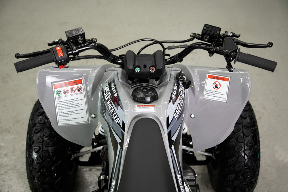 Квадроцикл SHARMAX Raizer Race Cup 250