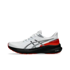 Мужские кроссовки ASICS GT-1000 13 'White Black Red' 1011B858-100