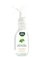 Средство для мытья стекол и зеркал Master Fresh, 500 мл