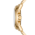 Женские наручные часы Michael Kors MK7270
