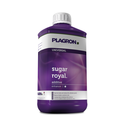 Sugar Royal