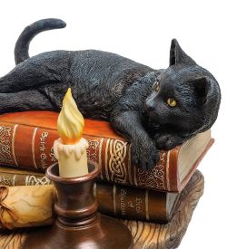 WS-843 Статуэтка «Кот на книгах» (Лиза Паркер)