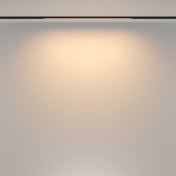 Трековый светильник Maytoni Technical TR173-1-16WTW-B