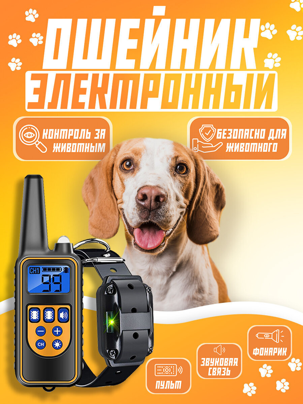 Электронный ошейник для дрессировки собак