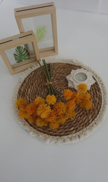 Эхинопс шарики / Арт 2231