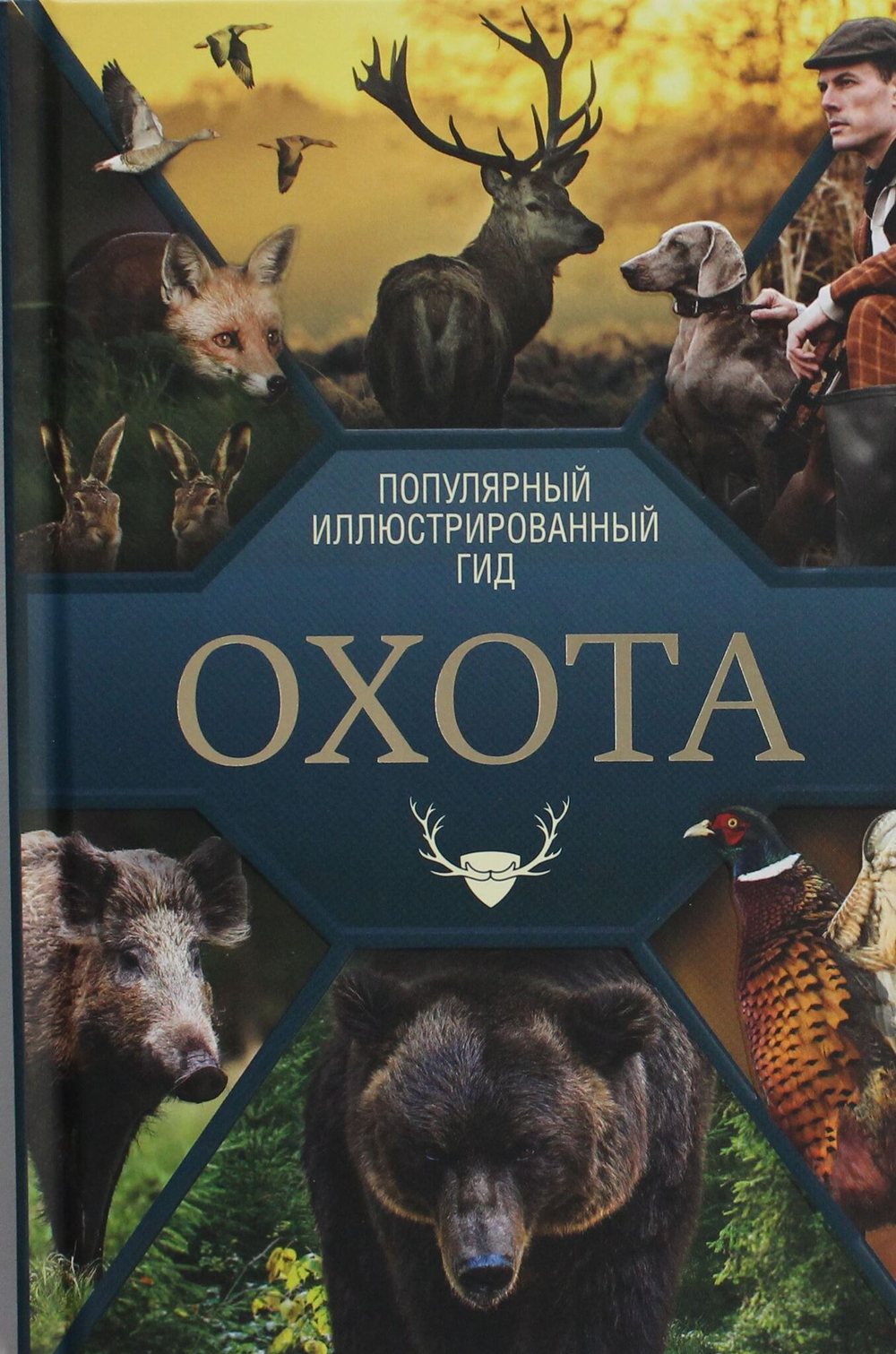 Охота. Популярный иллюстрированный гид