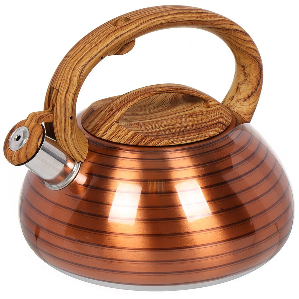 Чайник нерж, 3 л, свист, зеркал, ручк с силик покр, Daniks, индукц, корич, DSC-8797