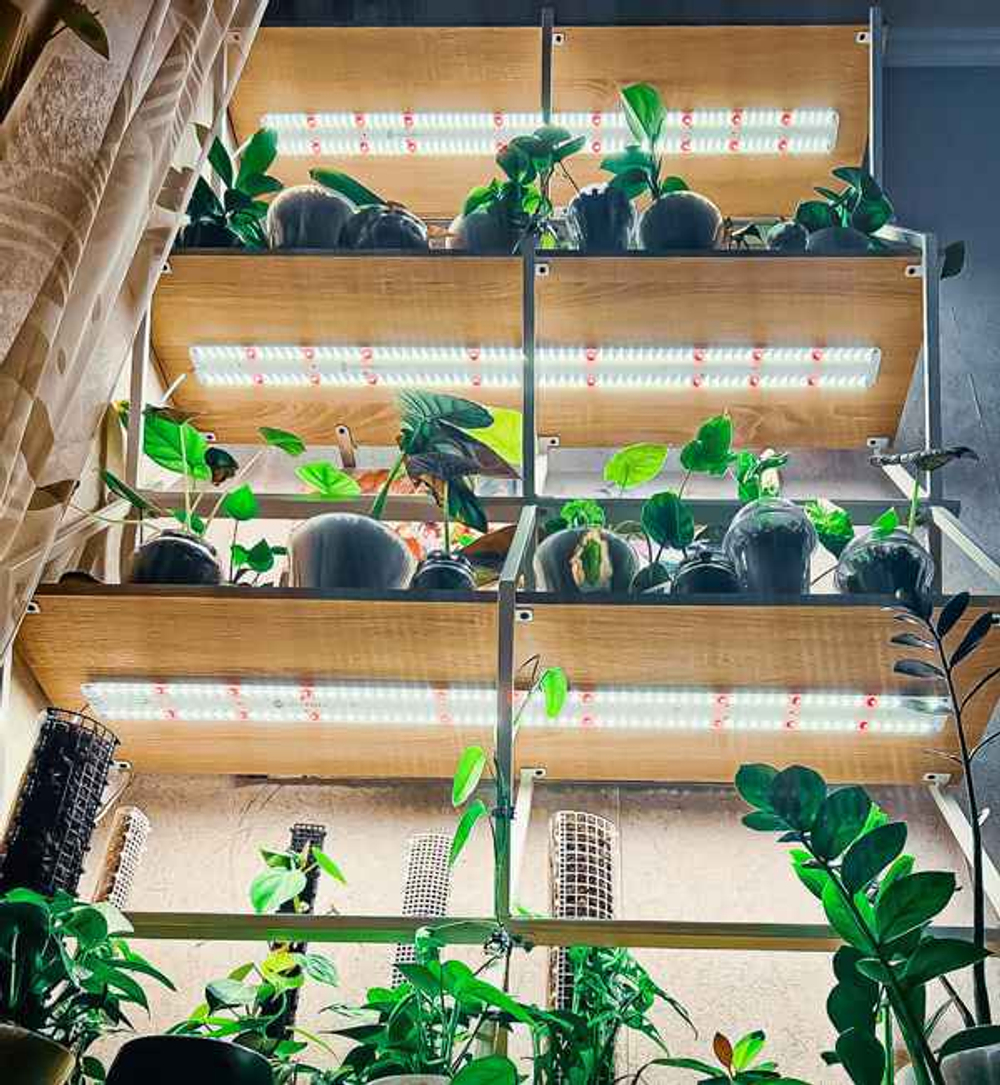 Комплект из двух Quantum line 115 см, 50W