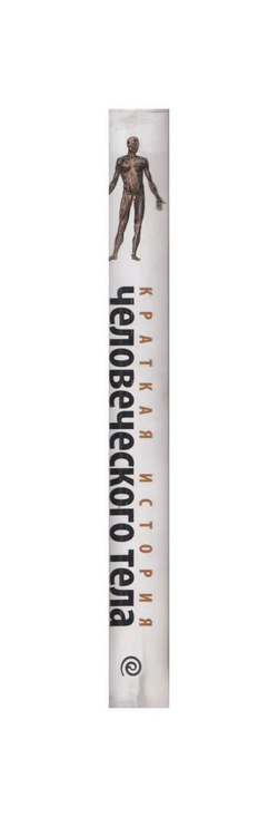 Краткая история человеческого тела. 24 часа из жизни тела. Секс, еда, сон, работа