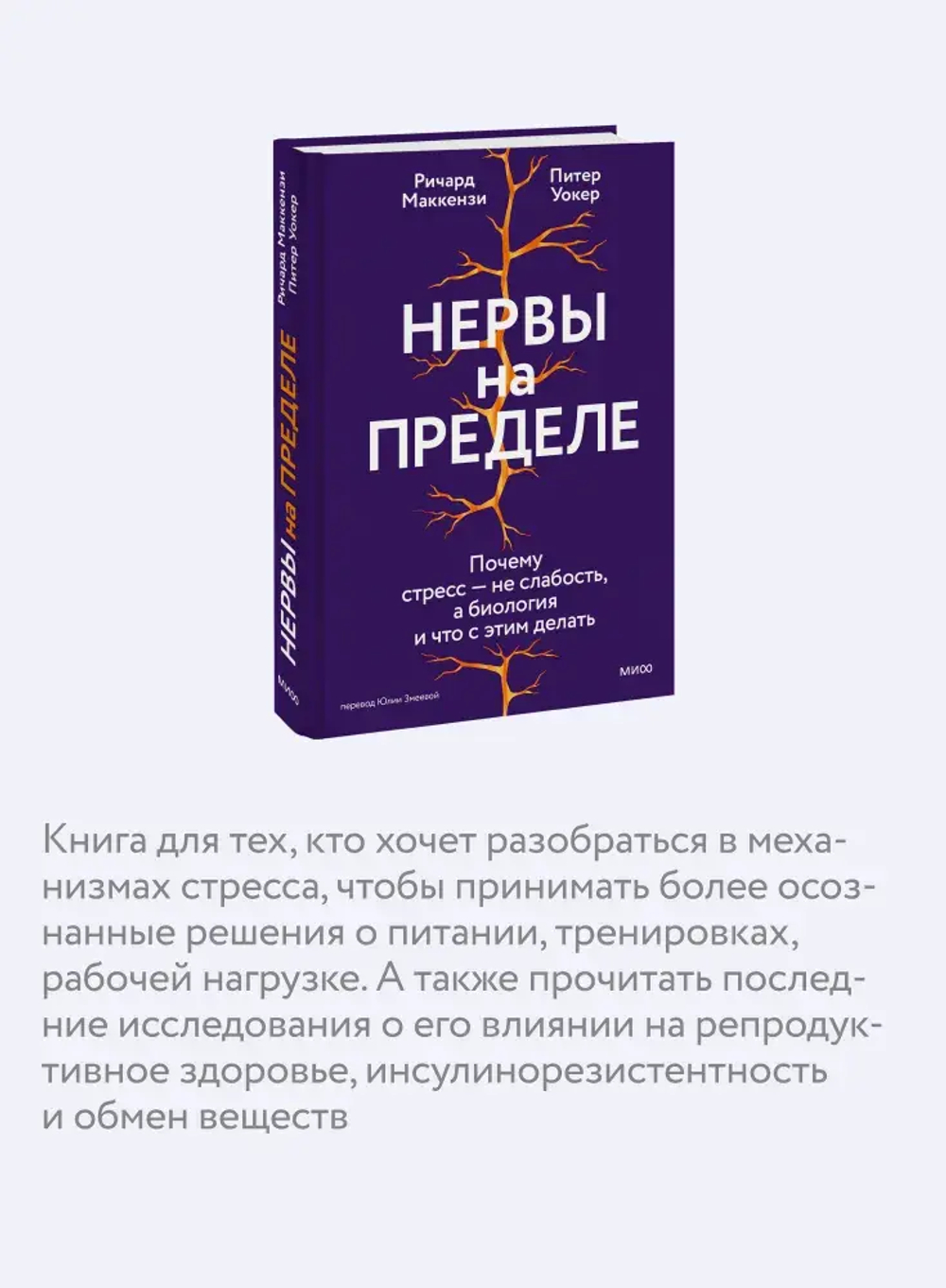 Нервы на пределе. Почему стресс — не слабость, а биология, и что с этим делать