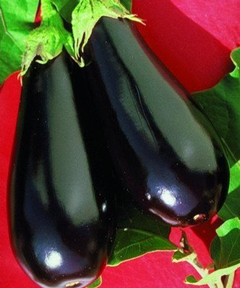 Эпик F1 семена баклажана (Seminis / Семинис) культура – фото 8