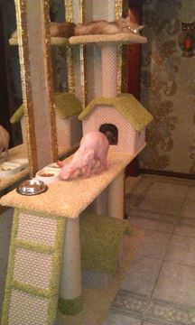 Комплекс для кошек К-165