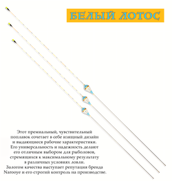 Белый лотос