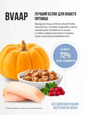 Пауч кусочки в соусе для котят и беременных кошек, с белой рыбой и тыквой